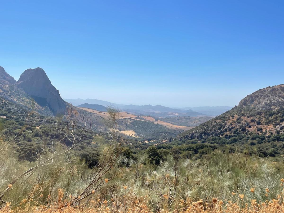 Cortijo Rancho Verde Colmenar Exteriér fotografie