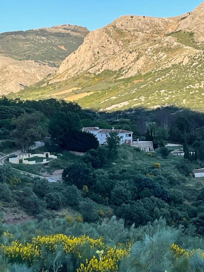 Cortijo Rancho Verde Colmenar Exteriér fotografie