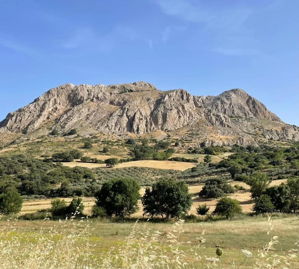 Cortijo Rancho Verde Colmenar Exteriér fotografie
