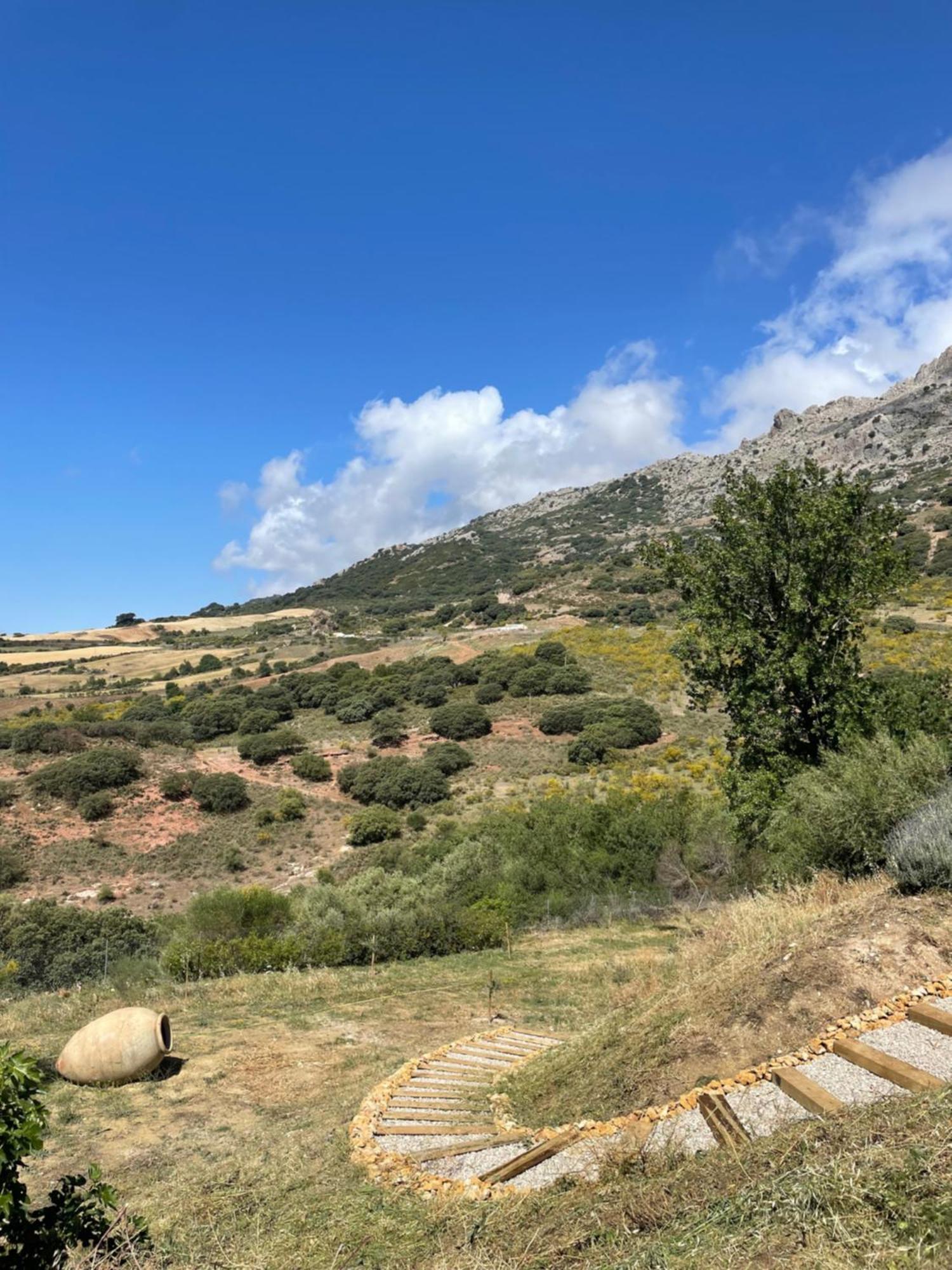 Cortijo Rancho Verde Colmenar Exteriér fotografie
