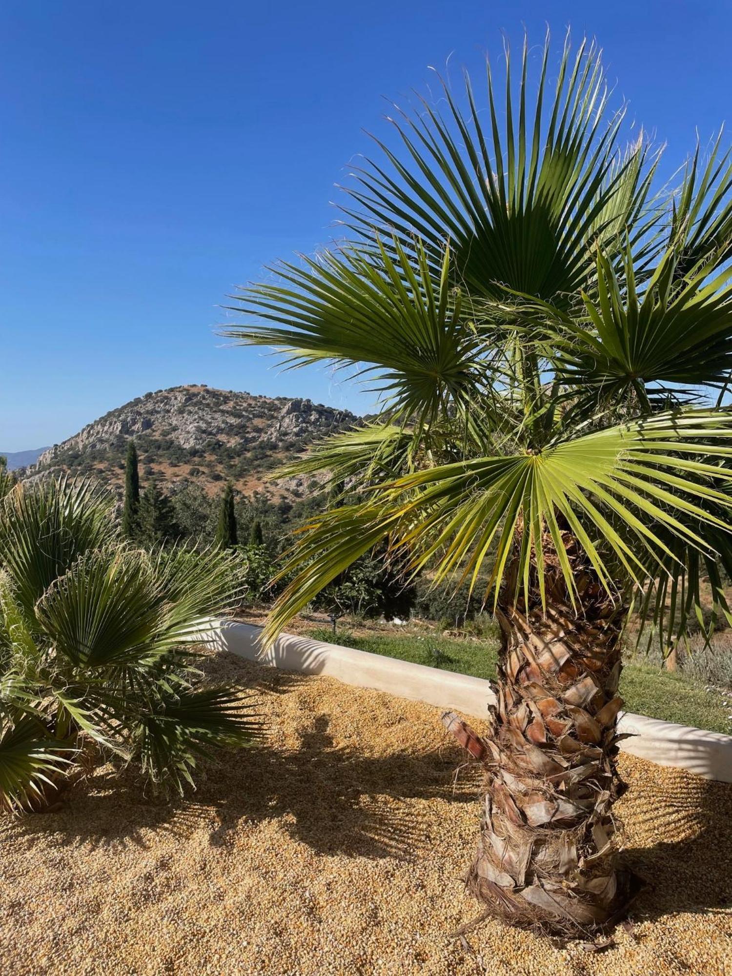 Cortijo Rancho Verde Colmenar Exteriér fotografie